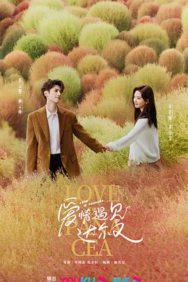 威海seo优化排名地址